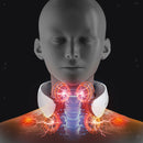 Neck Massager Body Shoulder Relax Pain Relieve for Office Car 2 Points