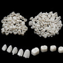2 Packs Dental Temporary Crown Material For Anterior + Molar Teeth Veneers  %o