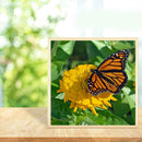5D DIY Full Drill Diamond Painting Butterfly Embroidery Mosaic Craft Kit