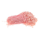 1000pcs  Tag Nylon Rope String Snap Lock Pin Loop Tie Fasteners -Pink