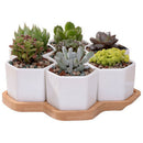 Set Of Decorative Geometry Hexagon White Ceramic Succulent Plant Pot Porcel
