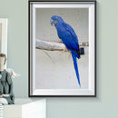 5D DIY Full Drill Diamond Painting Bird Embroidery Mosaic Craft Kits Decor