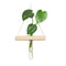 Wall Hanging Clear Glass Vase Flower Planter Bottle Tube Pot Terrarium Decor