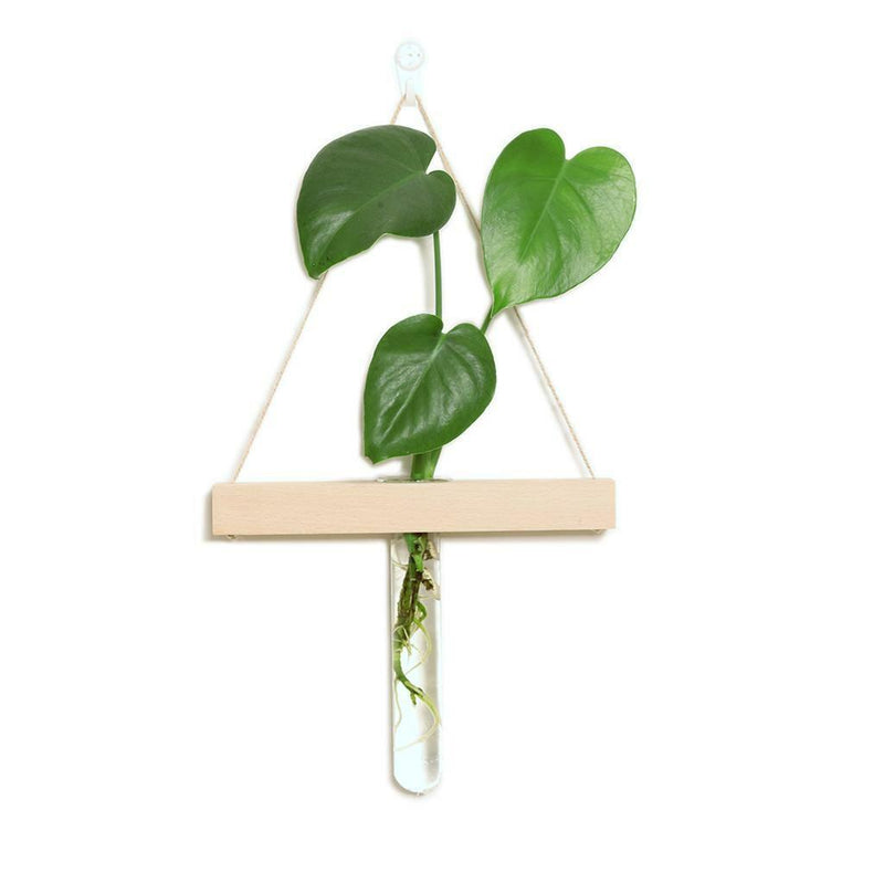 Wall Hanging Clear Glass Vase Flower Planter Bottle Tube Pot Terrarium Decor
