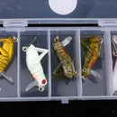 5Pcs Hard Lures Insect Shape Artificial Baits Grasshopper Lures and Minnow Baits