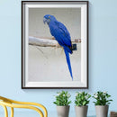 5D DIY Full Drill Diamond Painting Bird Embroidery Mosaic Craft Kits Decor
