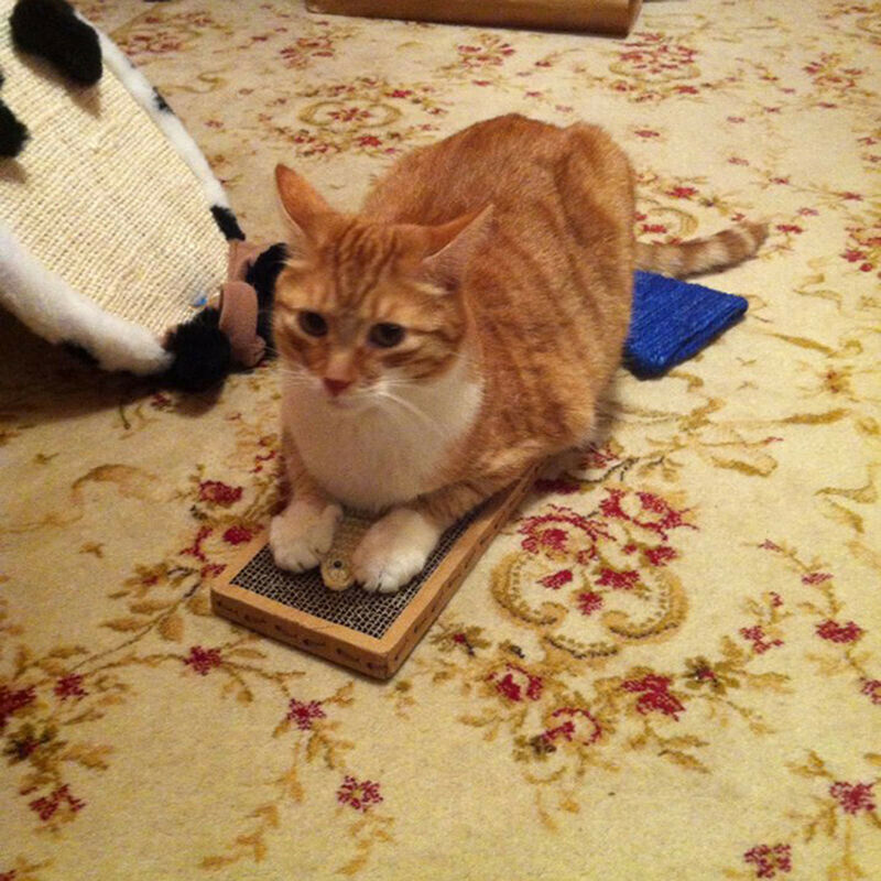 Pet Cat Kitten Corrugated Cardboard Scratcher Scratch Board Pad Bed w/ Catnip