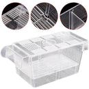 Aquarium Fish Tank Guppy Double Breeding Breeder Rearing Trap Clear Best Ac M5X2