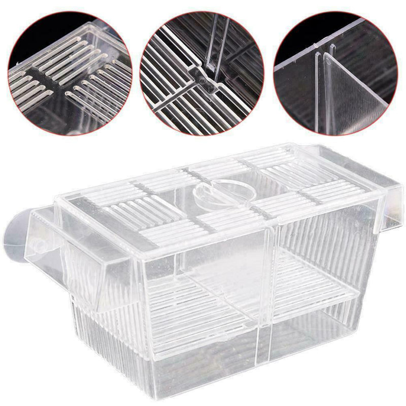 Aquarium Fish Tank Guppy Double Breeding Breeder Rearing Trap Clear Best Ac M5X2