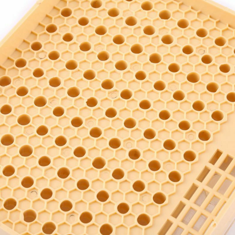 Beekeeping Cup Bee Keeper Tools Queen Rearing Bee Cupkit Box System Beekeep