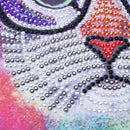 5D DIY Special-shaped Diamond Painting Animal Cross Stitch Kit (H086 Cat)