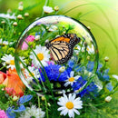 Flower Diy Diamond Painting Flower Butteryfly Making Diamond Painting Full