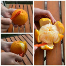 6PCS Easy Orange Citrus Peeler in Bright Orange Color Kitchen Tool Y1L9