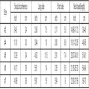 Safety Yellow Small Medium Large Extra Large Dog Muzzle Muzzel Adjustable