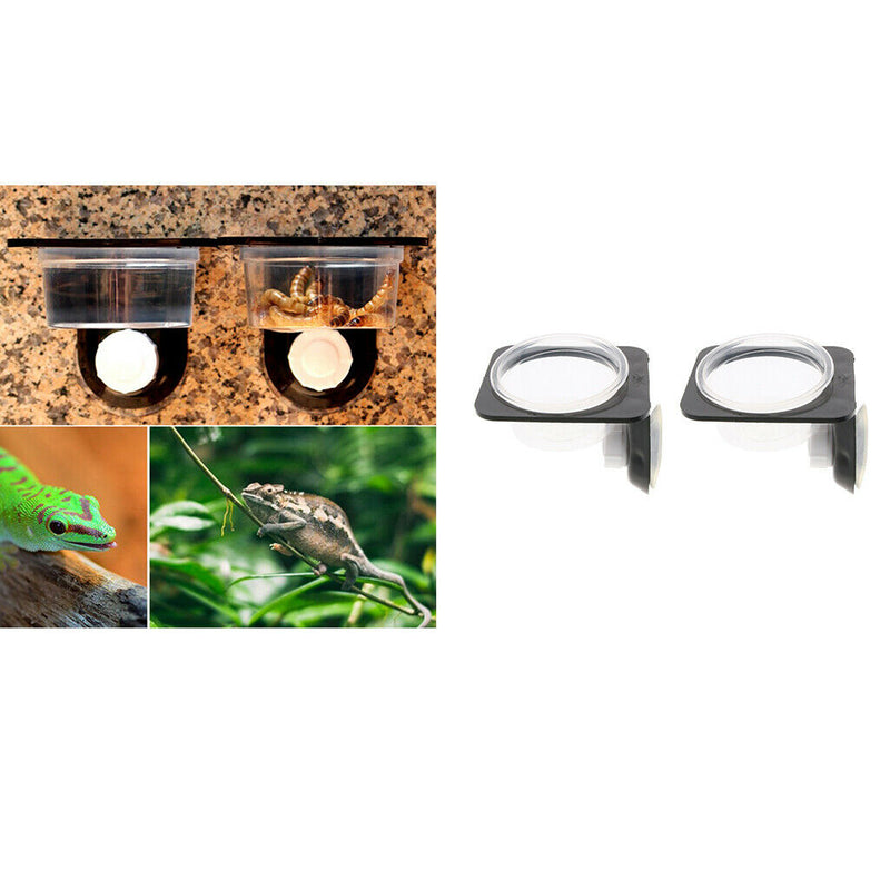 4Pcs Gecko Feeder Ledge Reptile Feeder Plastic Bowls for Reptiles Food and Water