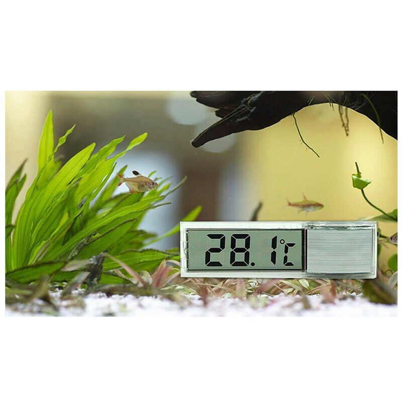 Mini Transparent Digital Thermometer LED Temperature Meter for Aquarium J2L1