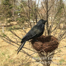 1pc Realistic Looking Halloween Decoration Birds Black Feathered Crows Hall P1O5