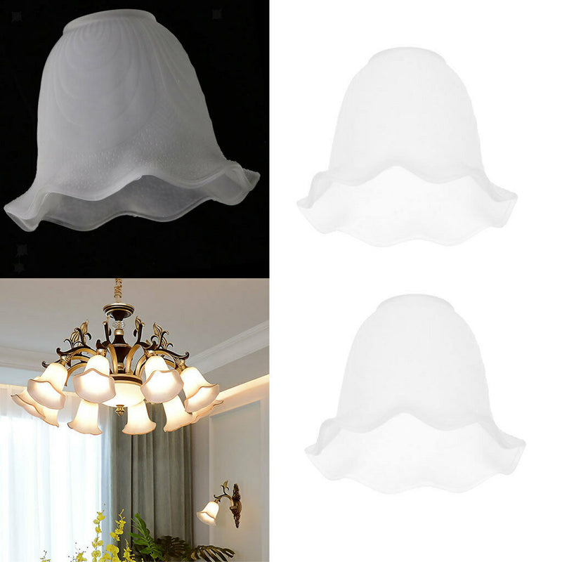 2pcs Unique Design Replacement Glass Shades for Wall Lights & Ceiling Fan Lights