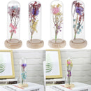 Glass Display Cloche Jar Dome Flower Immortal Preservation Vase Ornament