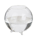 10x Glass Ball Shape Flower Plant Tabletop Vase Terrarium Container Decor