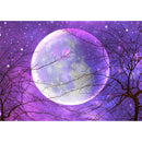 5D DIY Full Drill Diamond Painting Moon Embroidery Mosaic Craft Kit Decor