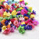 200Pcs Natural Dried Flower Head Daisy Glass Cover Nail Art Epoxy DIY Hand Craft