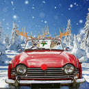 Car Reindeer Antlers & Nose Christmas Decoration Vehicle Costume, Window Ro