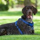 brother cat dog Strong Dog Harness For Dogs Training Vest Medium Big Dogs A E2G2