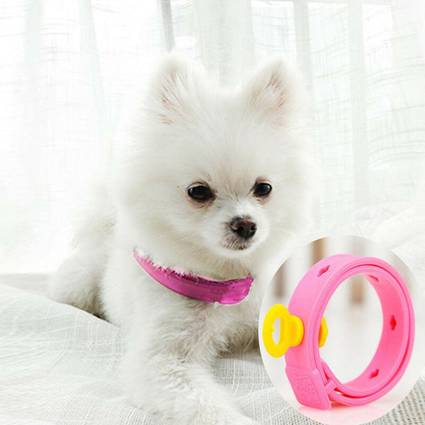 Dog Kitten Adjustable Pet Collar Neck Strap Remedy Anti Flea Mite Acari Tick  SE
