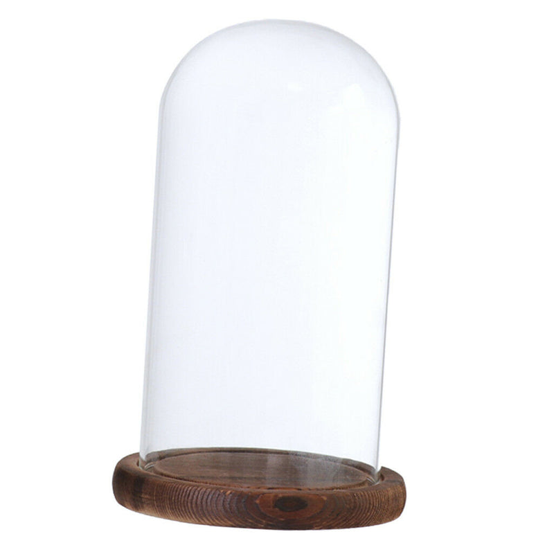 Glass Landscape Flower LED Light Ornament Cover Dome Display Stand _Brown D