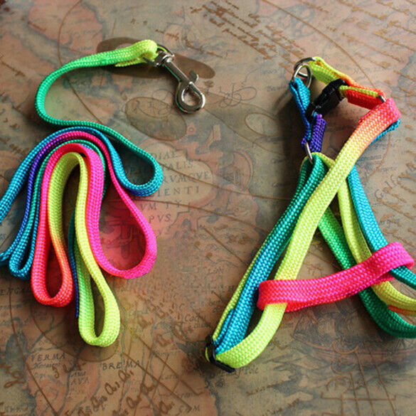 Strengthen Colorful Pets Puppy Lead Harness Leash Traction Rope Nylon