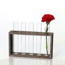 Test Tube Planter Flower Bud Vase with Wood Stand Tabletop Glass Terrarium
