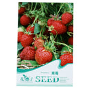 30-in-1 red strawberry seeds