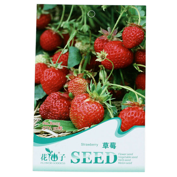 30-in-1 red strawberry seeds