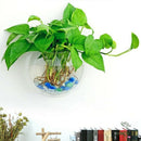 1Pc High Glass Hanging Flower Planter Vase Terrarium Container Home Garden