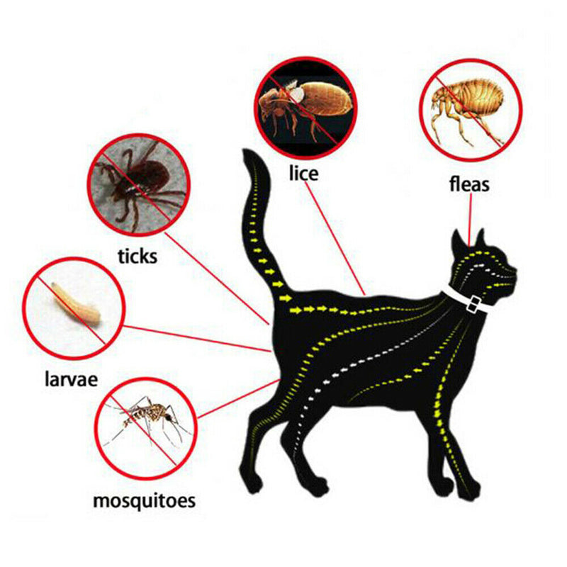 Utility Pet Dog Puppy Cat Elimination Flea Collar Anti-Flea Mosquito Trick Strap