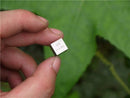 99.5% High Purity Titanium Ti 4.57g Metal Carved Element Periodic Table 10mm