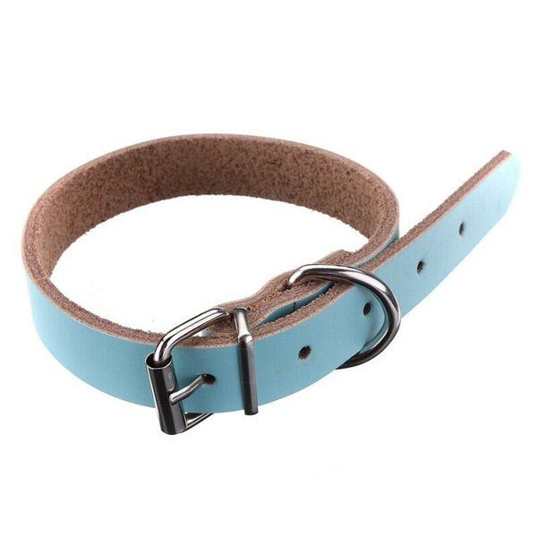 Leather collar For Dog Cat Pet Puppy Blue-XS
