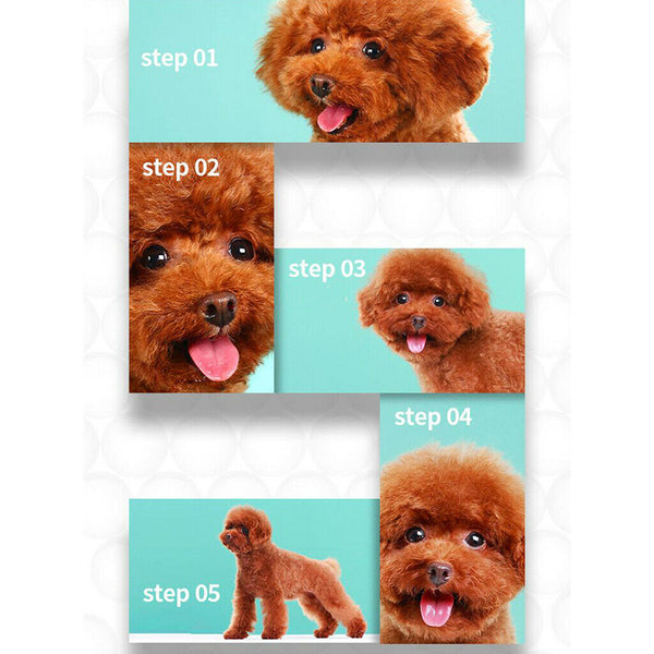 4 Boxes Pet Eye Wipes Dogs Cats Tear Wiping Pads Eye Crust Treatment Cleaner