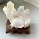 20-30g Natural White Clear Healing Quartz Crystal Cluster Mineral Specimen AU