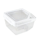 Aquarium Reptile Hatchery Breeding Box Turtle Lizard Spider Terrarium White