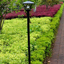 Black LED Solar Powered 5 ft Traditional Garden Lamp Post Lamppost Lantern Light