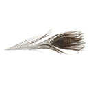 20 pcs Artificial peacock feathers w / Eyes P9P8