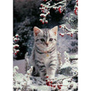 5D DIY Diamond Painting Full Drill Rhinestone Cat Cross Stitch Decor (T349)