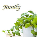 Natural Family Wooden Craft Cutout Wooden Pieces Embellishment Cardmaking