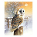 5D Diamond Nighthawk Painting DIY Embroidery Cross Stitch Kit Home Decor