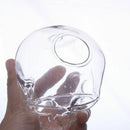 Skeleton Head Hanging Glass Hydroponic Flower Planter Vase Home Garden Decor