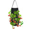 Hanging Strawberry Planter for Strawberry Bare Root Plants(Roots not Includ