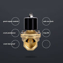 2W-160-15 Dn15 24V Electric Solenoid Valve Pneumatic Valve Solenoid Valve F