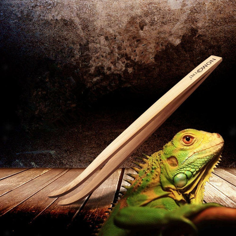 2x Curved Tip 28cm Small Animal Feeding Tweezers Tongs Forceps